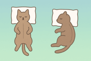 枕の選び方について説明する記事のアイキャッチ画像